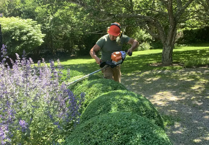 Hedge Trimming - Wes Fine Landscaping Properties Management Corp