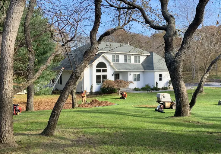 Spring & Fall Clean Ups - Wes Fine Landscaping Properties Management Corp