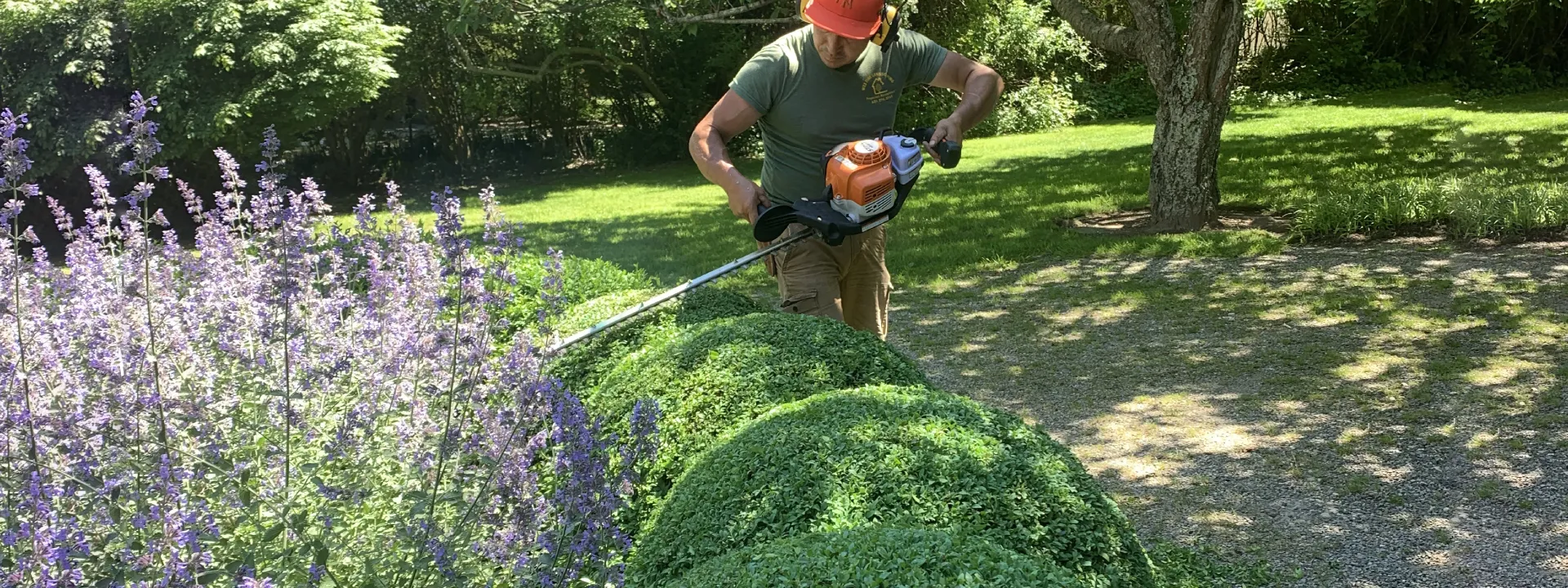 Garden Maintenance - Wes Fine Landscaping Properties Management Corp